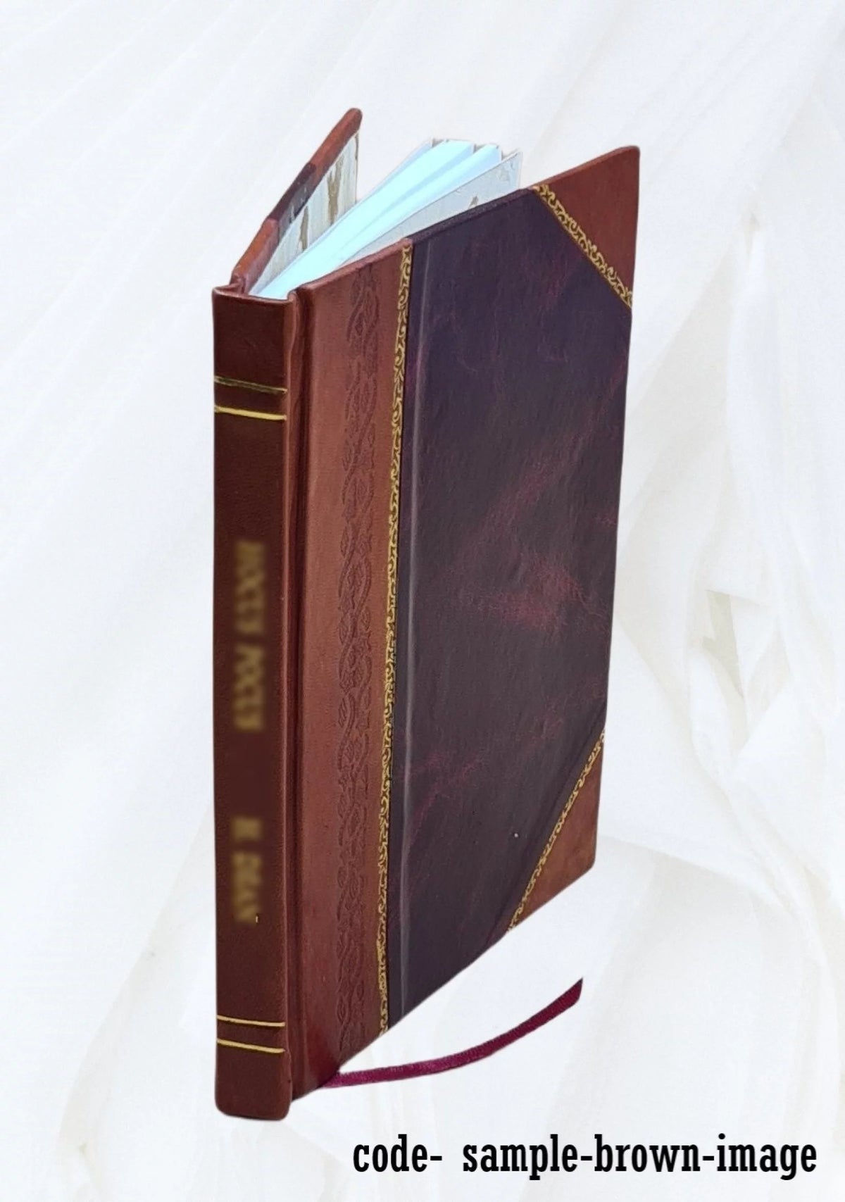 1876 Leather Bound Guide for Painting Interior of Houses O757