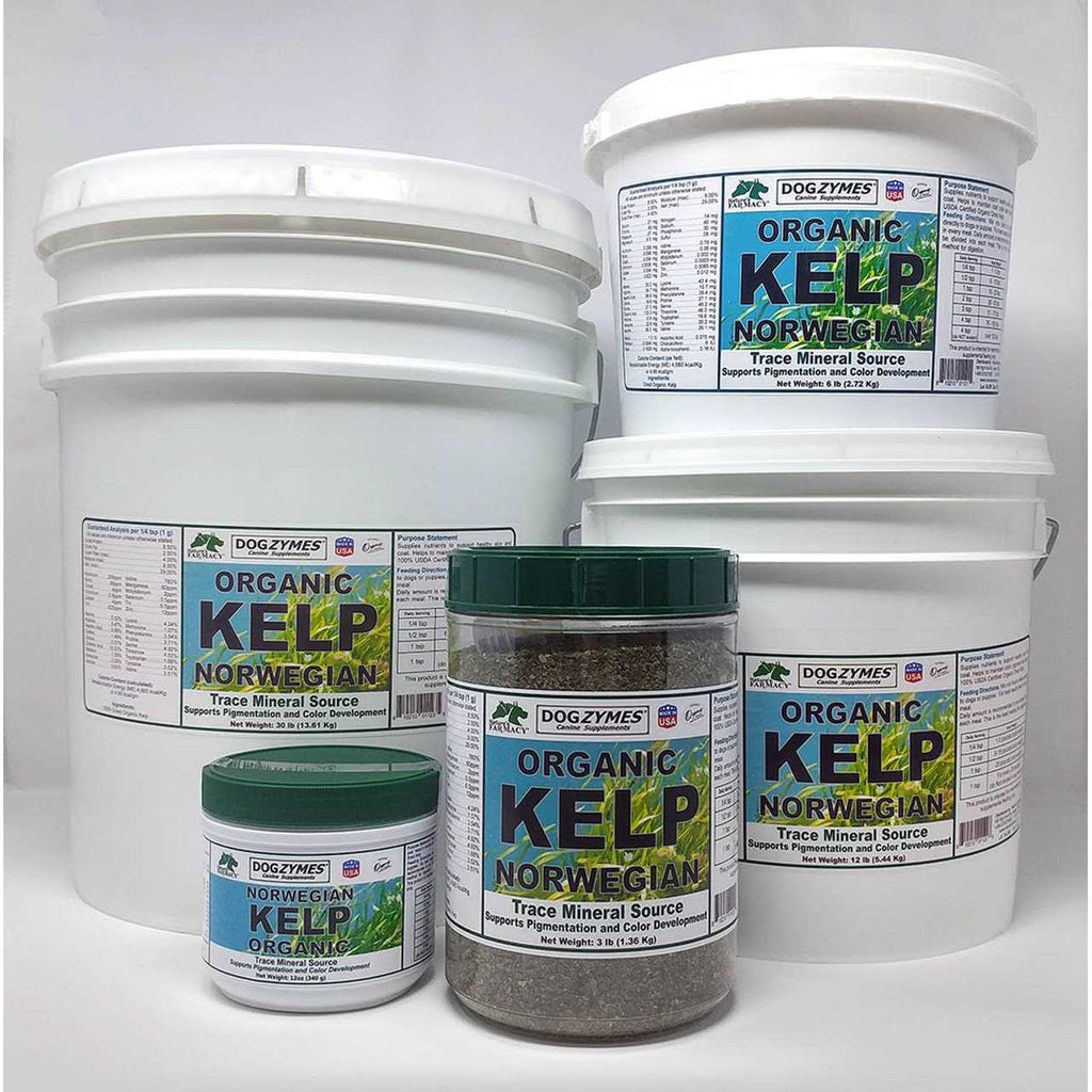 Organic Norwegian Kelp for Pets Y557