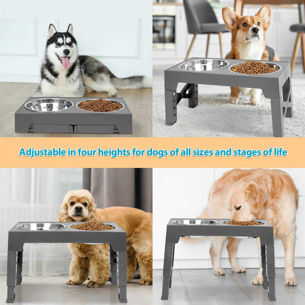 Elevated Dog Bowls with 2 Stainless Steel Bowls N1855