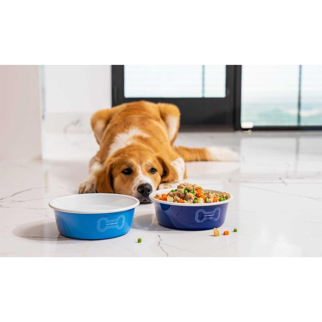 Dog Bowl N752838