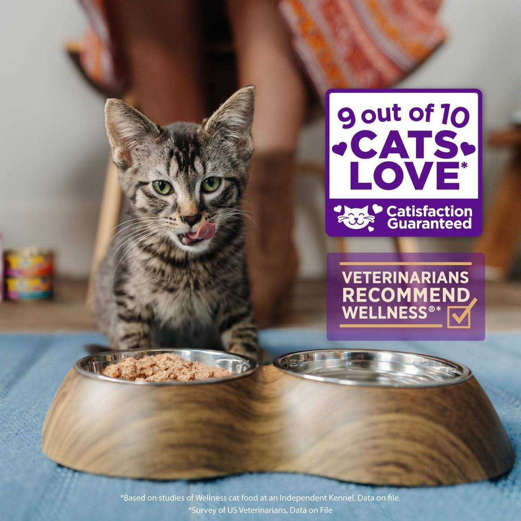 Flaked Wet Cat Food P9910
