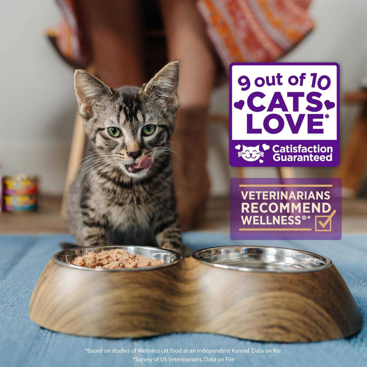 Flaked Wet Cat Food P9910