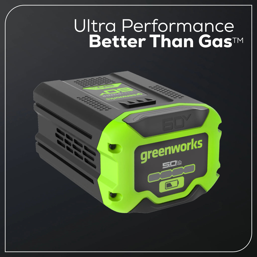 60V 5.0 Ah Battery N36619