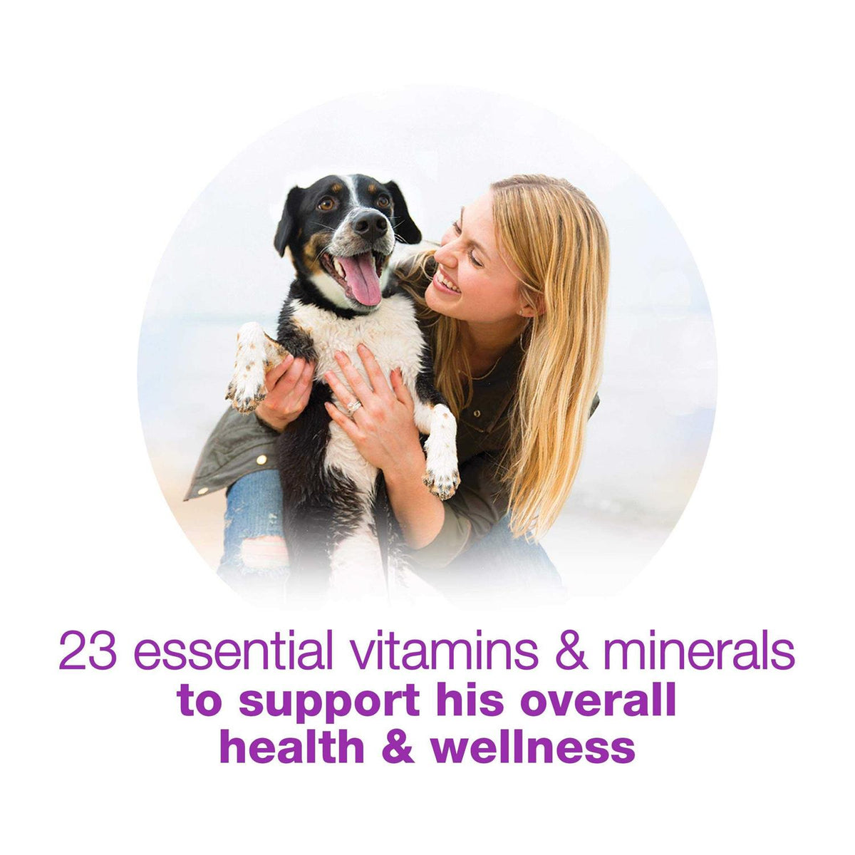 Chopped Blends Wet Dog Food with Chicken Carrots Peas & Wild Rice U9215
