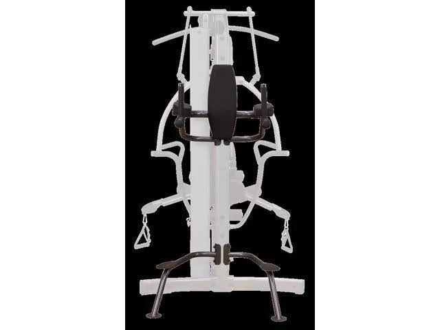 Vertical Knee-Raise/Dip Station H4316
