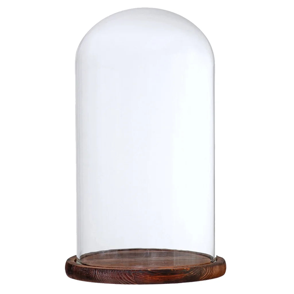 Brown Glass Cloche with Wooden Base N2937