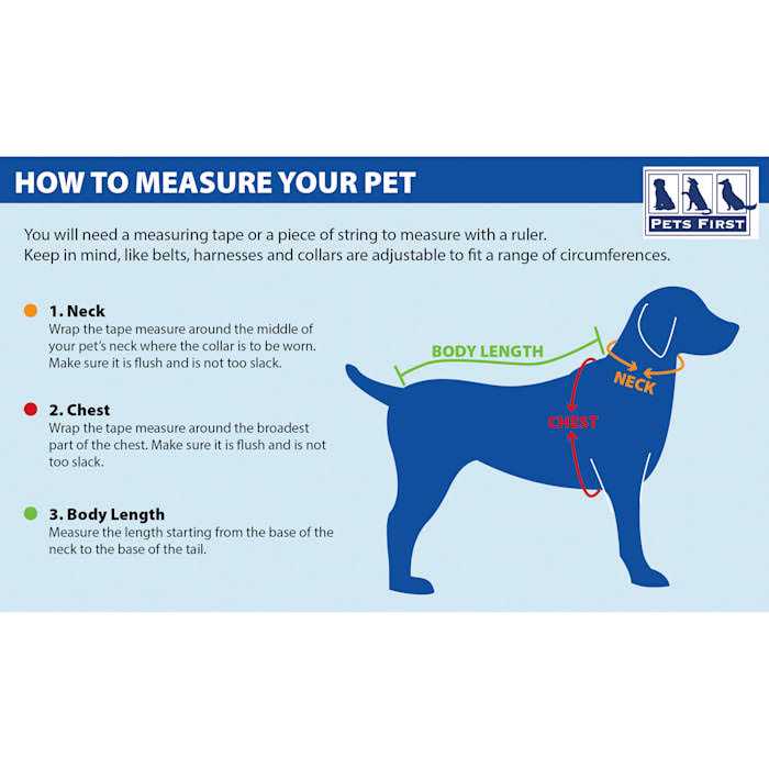 Dog Collar E468