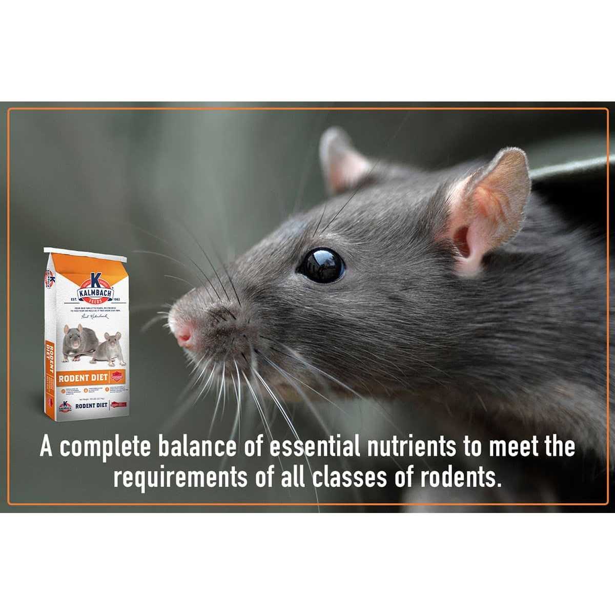 Rodent Diet Cubes Rats & Mice Food A61234
