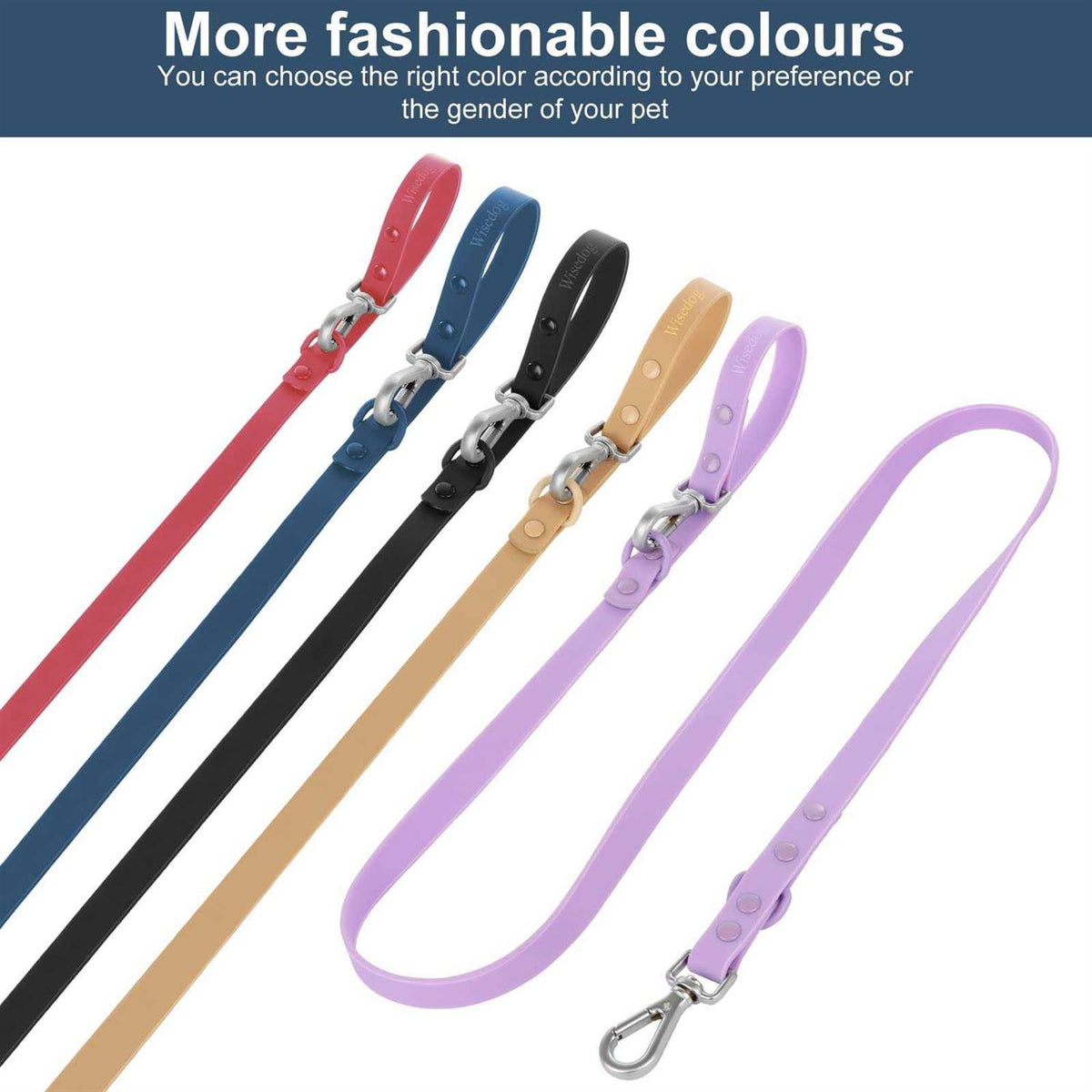 Waterproof Dog Leash with 2 Hooks V765106