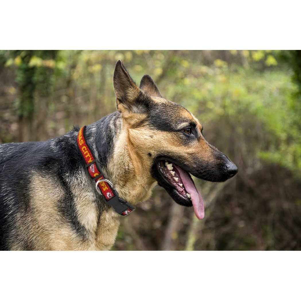 Dog Collar E468