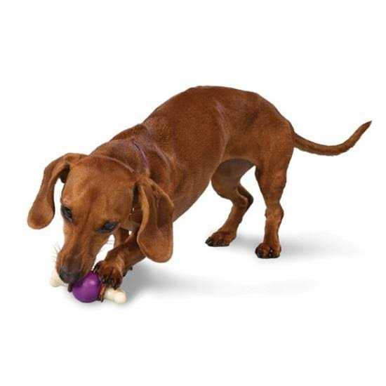 Bouncy Bone P552