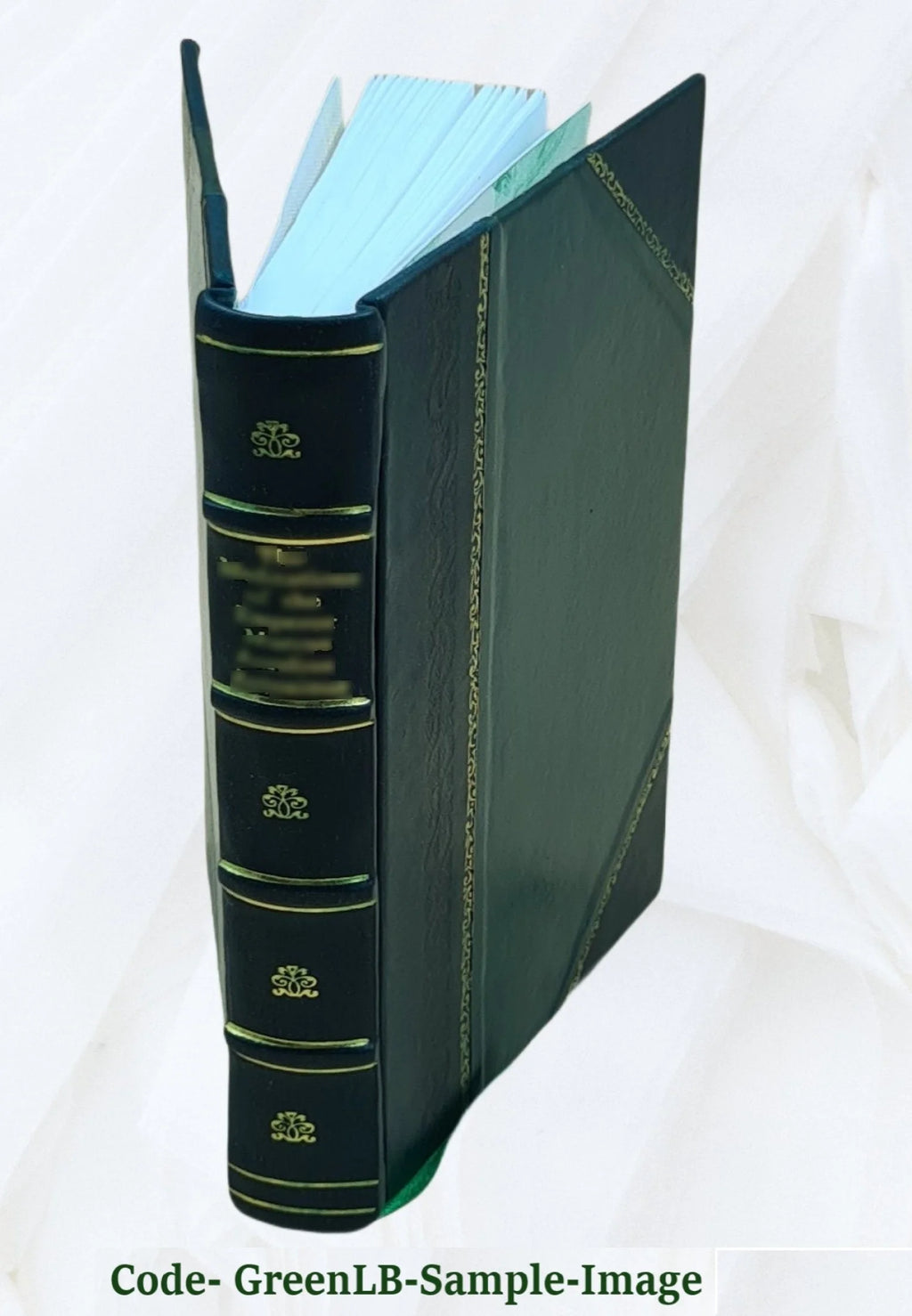 The history of England, from the invasion of Julius Cæsar, to the revolution in 1688. Volume v. 13 1810 [Leather Bound] C7453