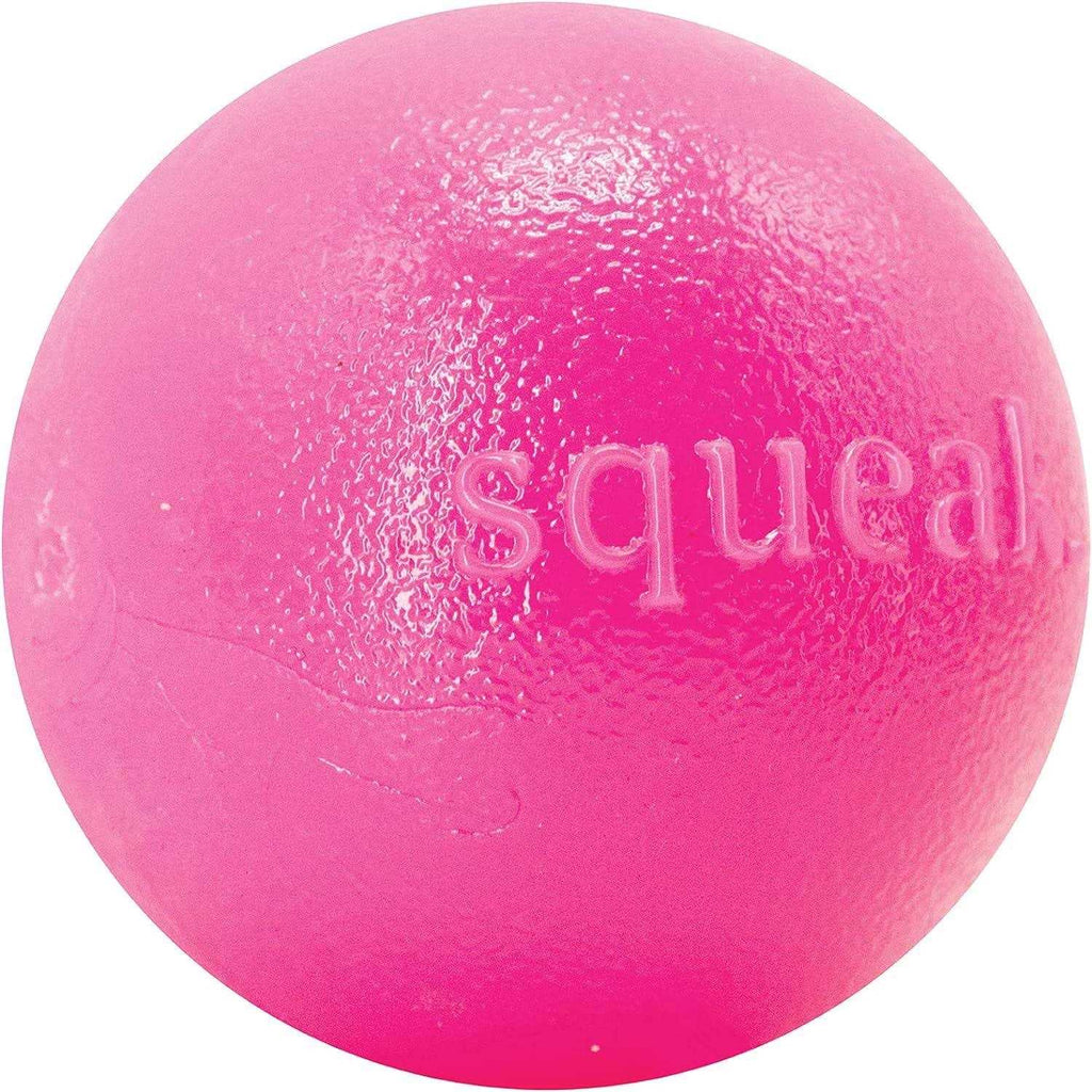 Squeak Toy Ball W95748