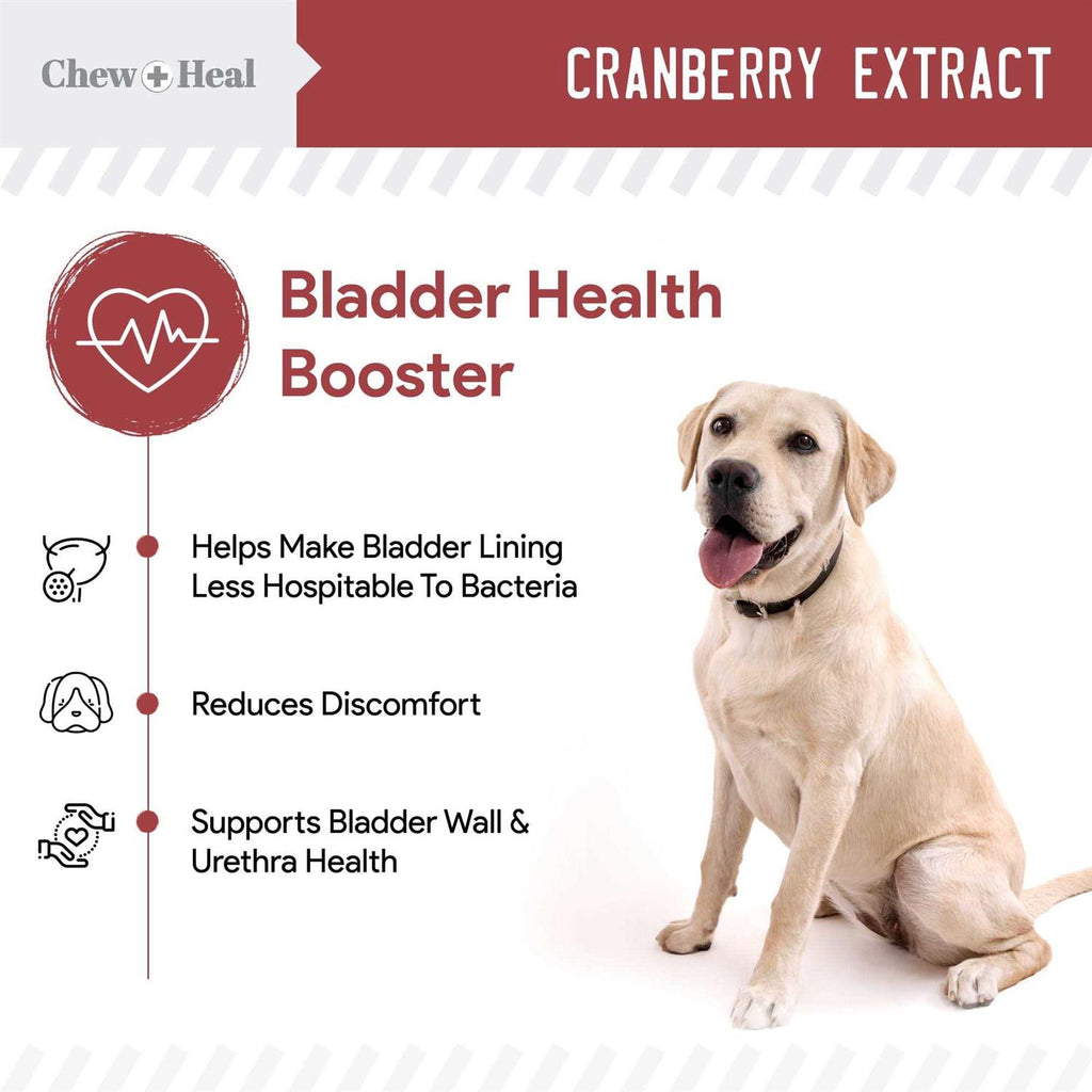 Cranberry Chews for Dogs G48784
