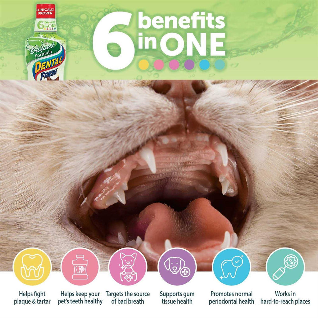 Water Additive for Cats U514