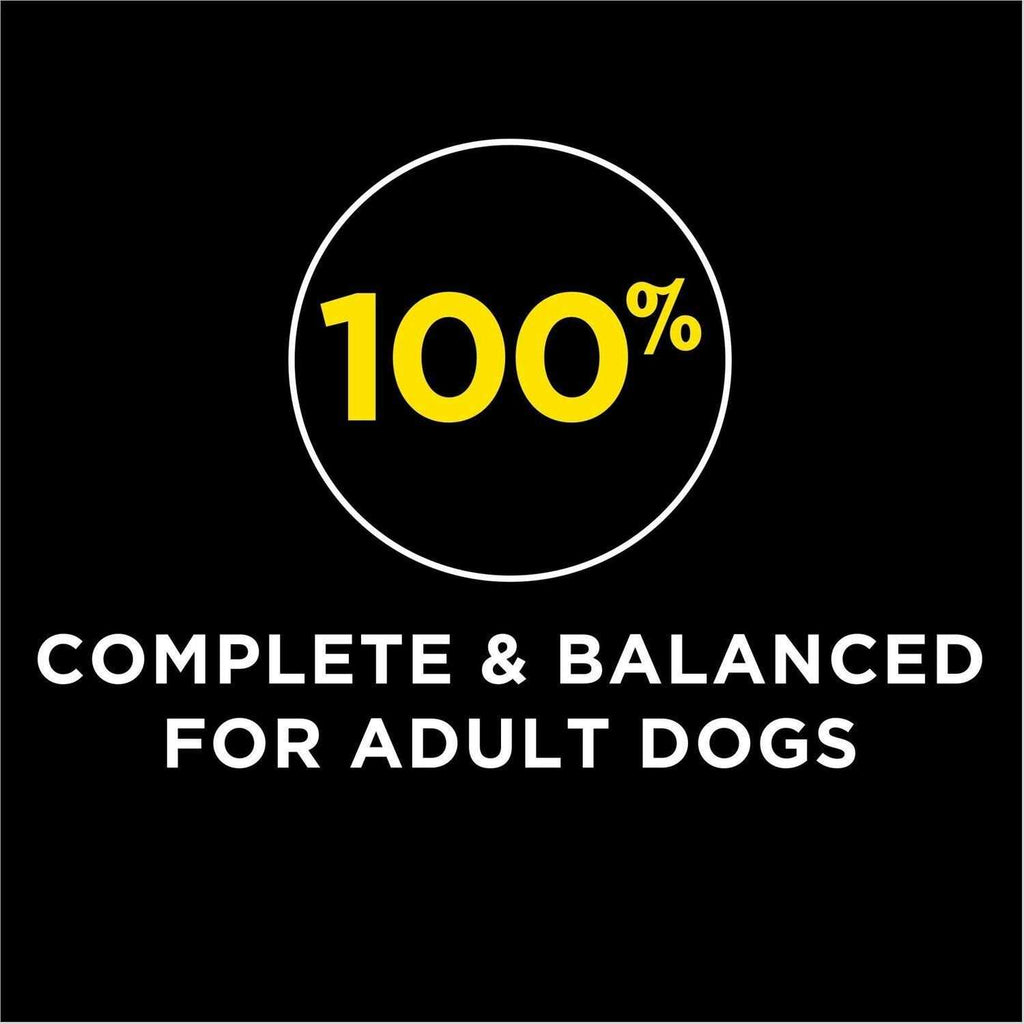 High Protein Dry Dog Food With Lamb & Beef Flavor B869