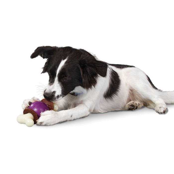 Bouncy Bone P552