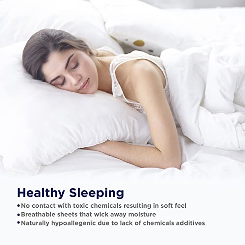 100% Egyptian Cotton Queen Sheets Set A744