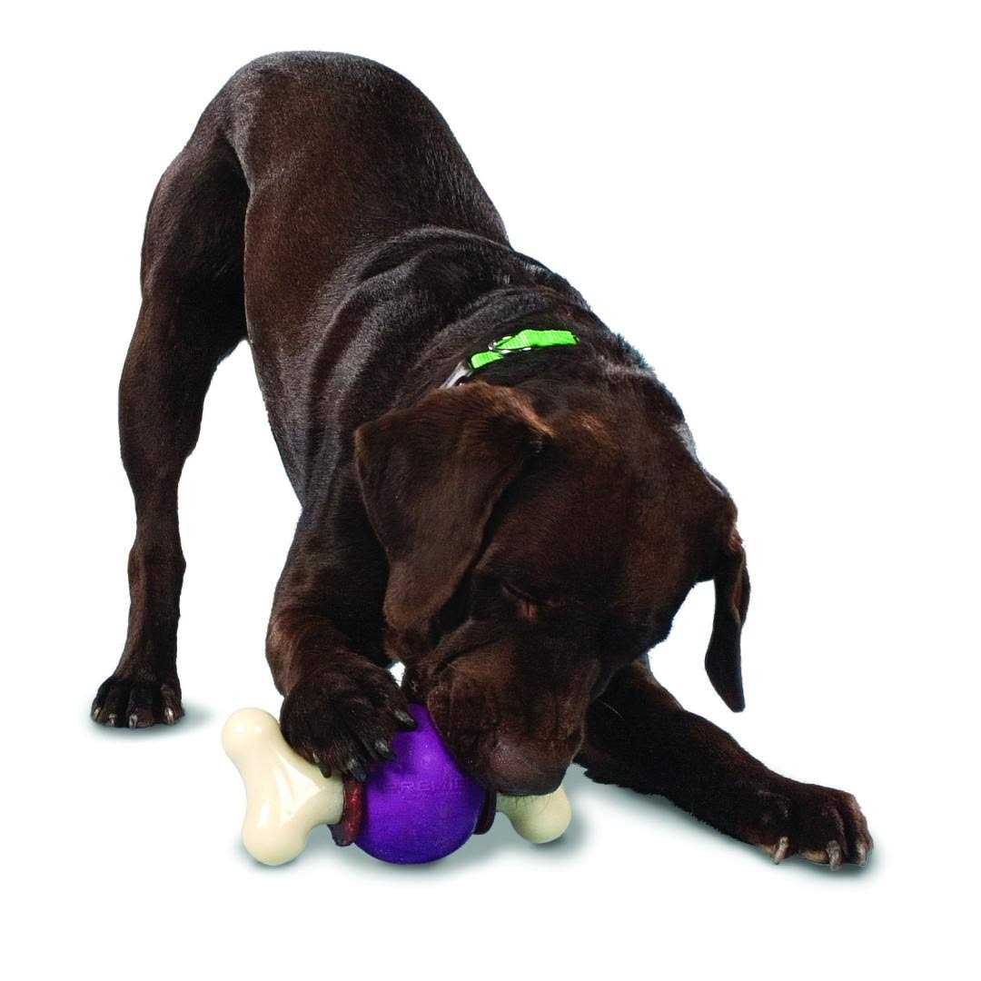 Bouncy Bone P552