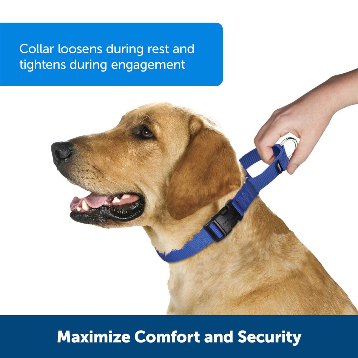 Martingale Collar Quick Snap F363607