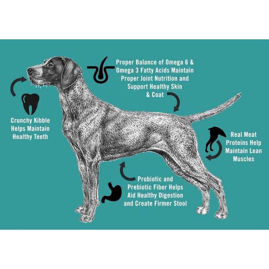 Adult Dry Dog Food L616980
