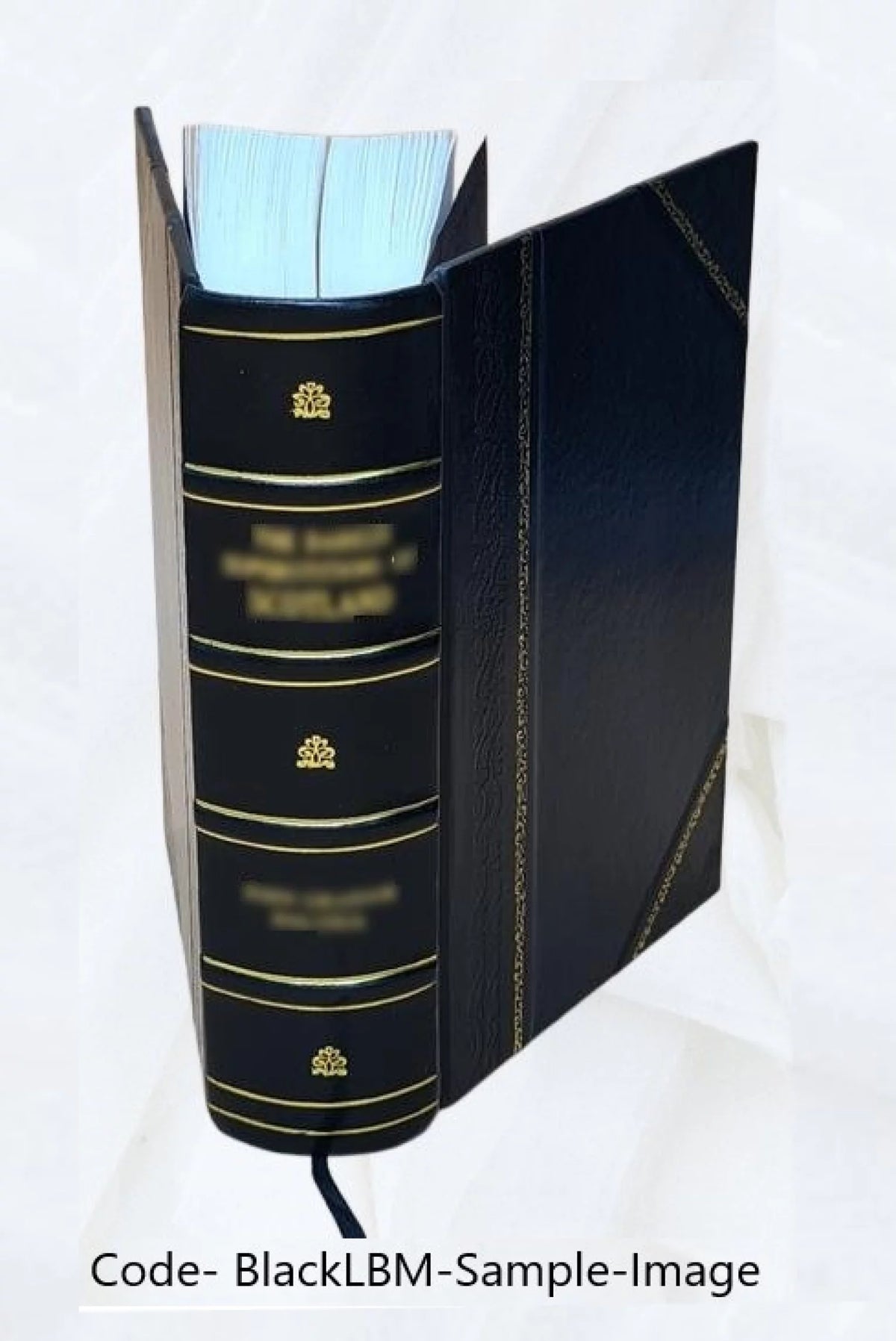 Leather Bound Book Z43104
