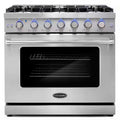 36 in. 6.0 cu. ft. Gas Range with Convection Oven in Stainless Steel W398121