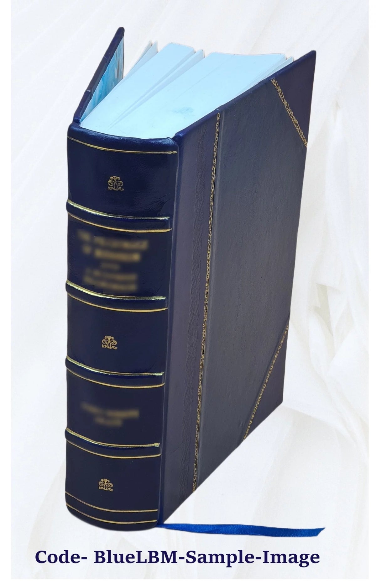 Leather Bound Book Z43104