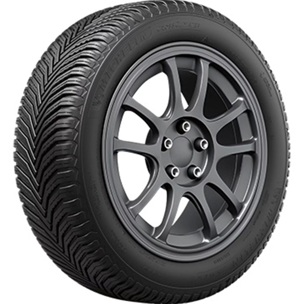 All Weather 205/55R16 91V Tire A435718