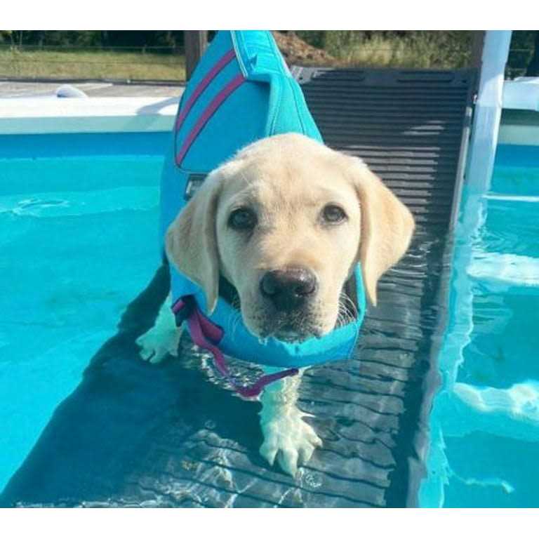 Pool Bundle W8899
