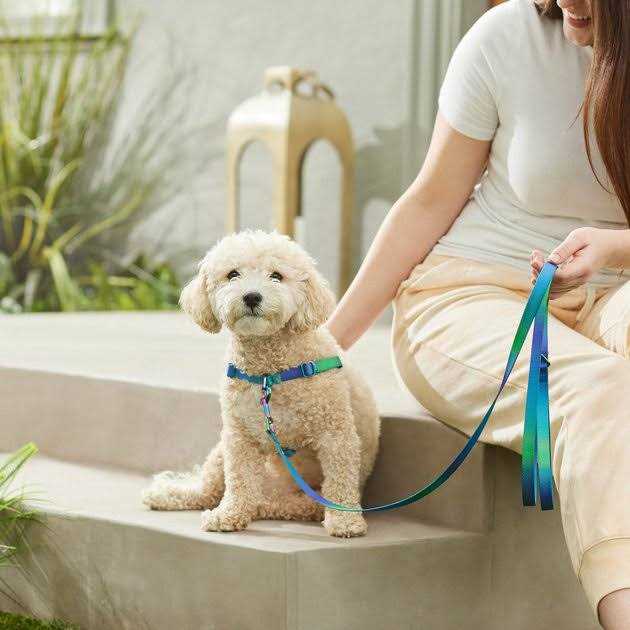 Dog Leash J53291