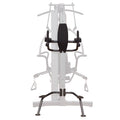 Vertical Knee-Raise/Dip Station H4316