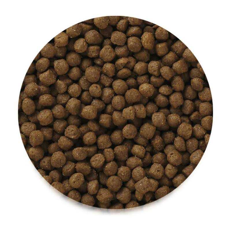 High Energy Adult Mini Chunk Dry Dog Food R556637