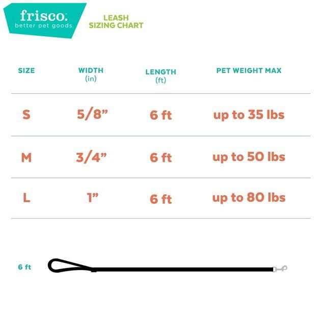 Dog Leash J53291