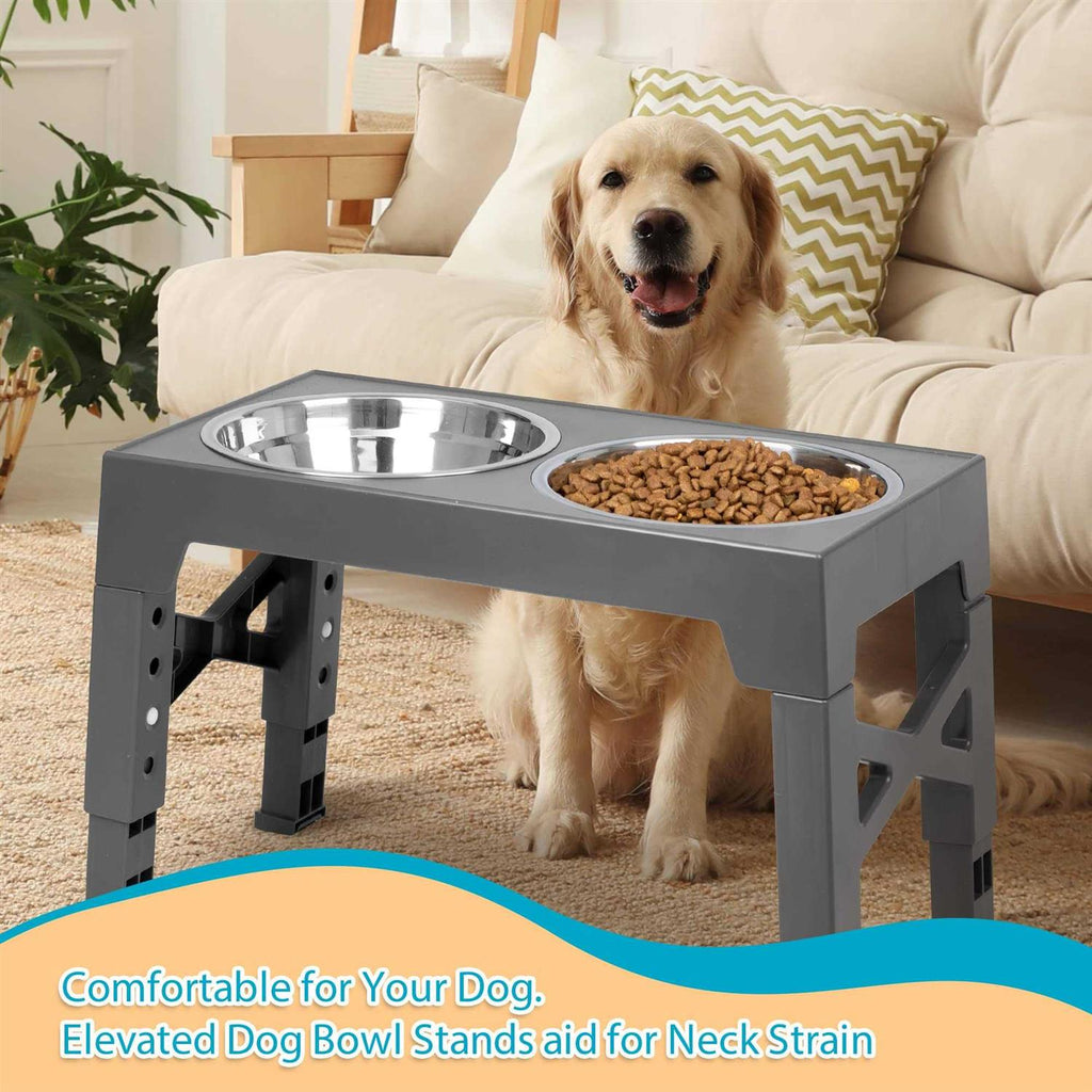 Elevated Dog Bowls with 2 Stainless Steel Bowls N1855