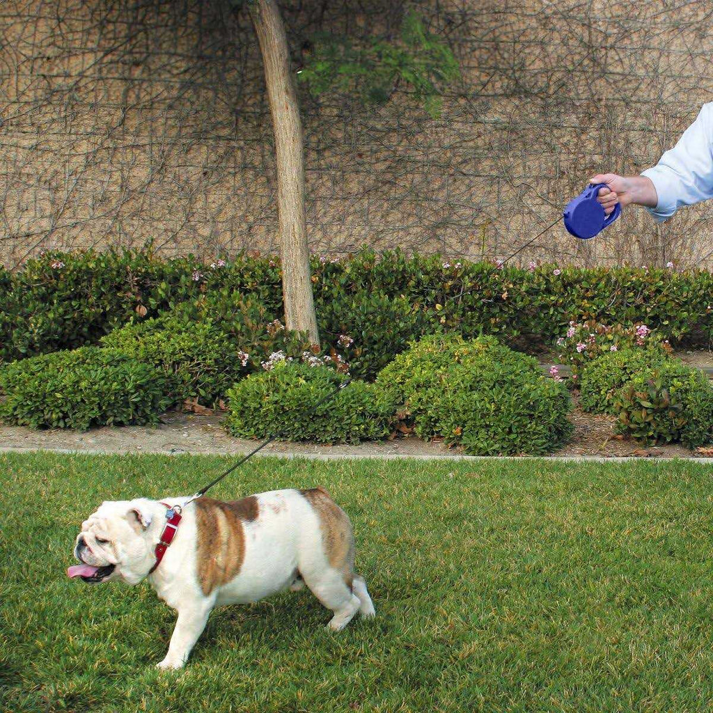24 ft. Retractable Dog Leash K4473