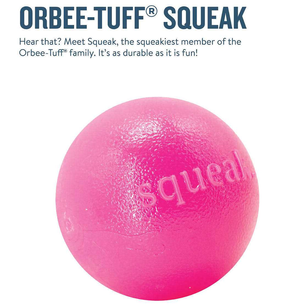 Squeak Toy Ball W95748