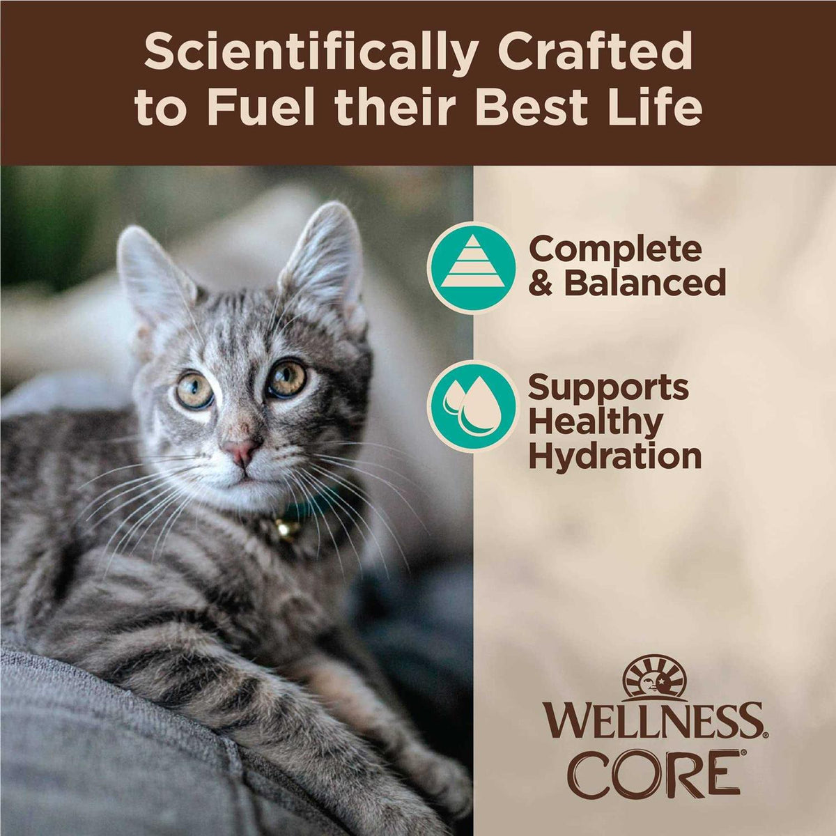 Flaked Wet Cat Food P9910