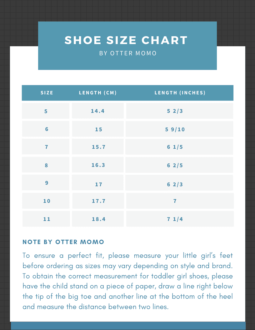 Mary Jane Ballerina Flats Shoes T8611