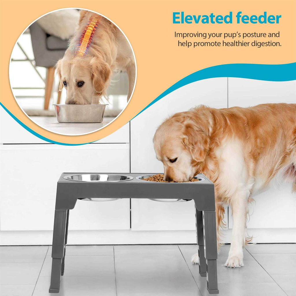 Elevated Dog Bowls with 2 Stainless Steel Bowls N1855