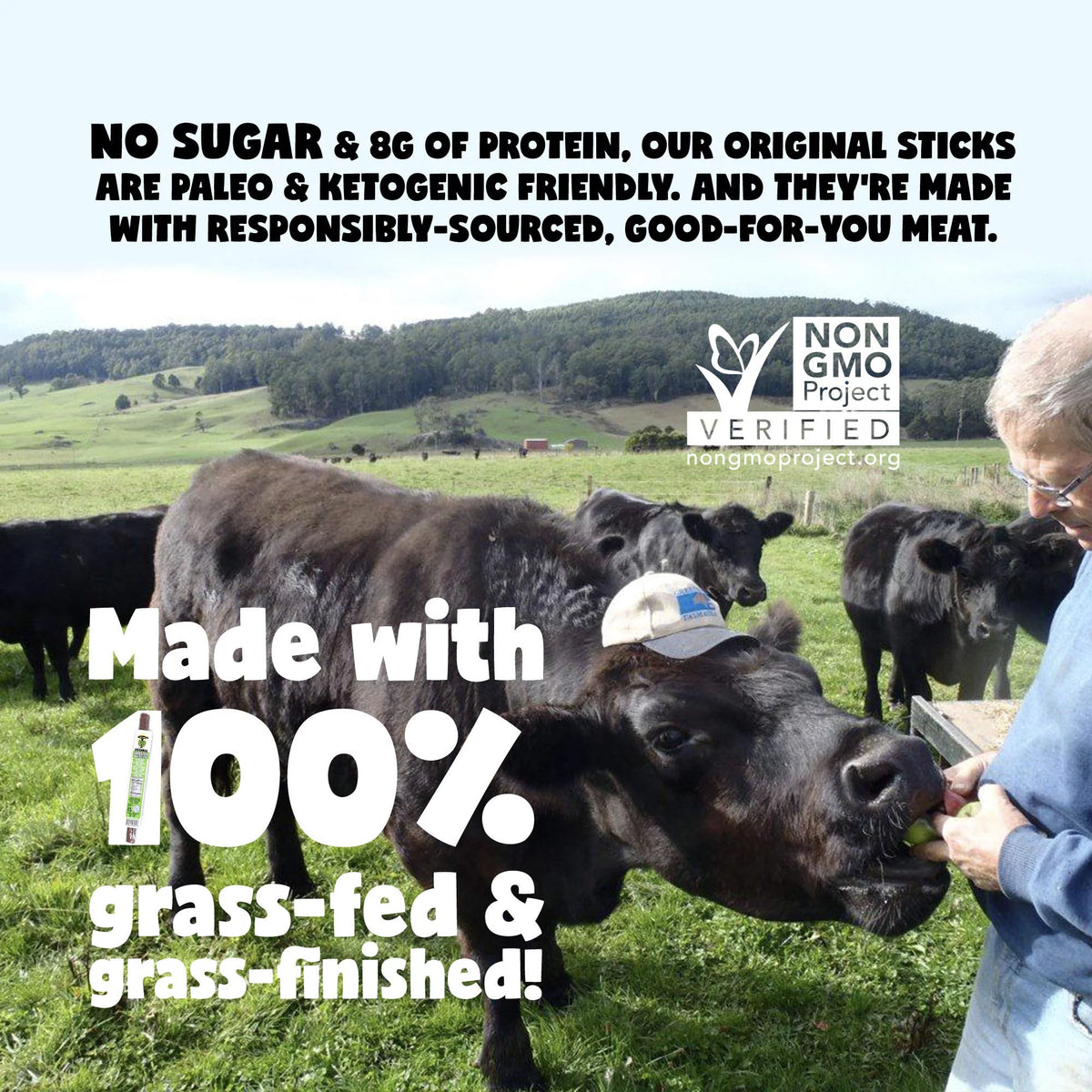 100% Grass-fed Beef Sticks, No Sugar, 144 Ct, 1-oz E767