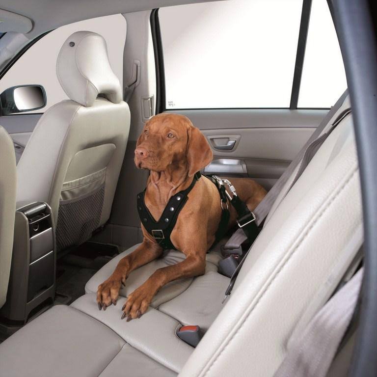 Car Safety Harness Black T4243