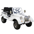 Classic Willy Motorcycle T9965