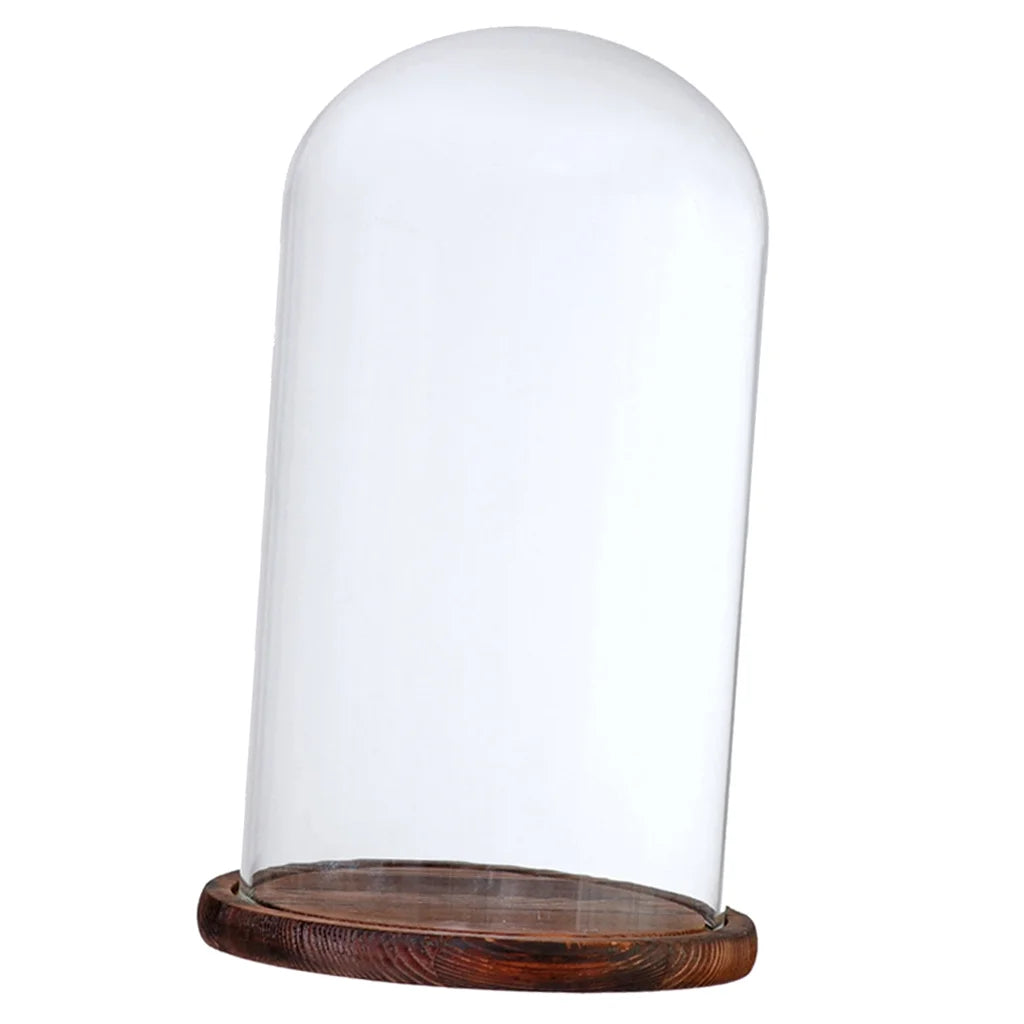 Brown Glass Cloche with Wooden Base N2937