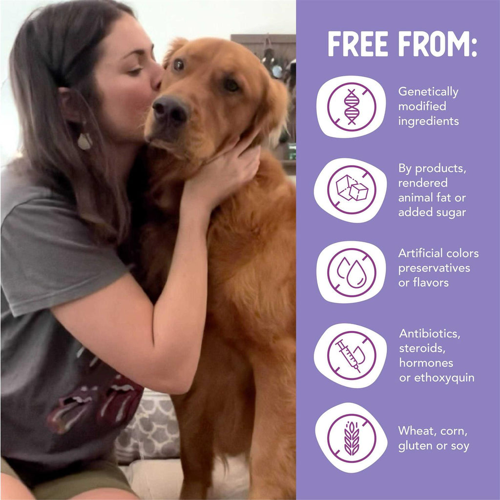 Chicken & Turkey Recipe Grain-Free Wet Puppy Food O174805