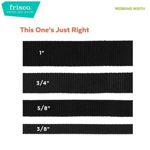Dog Leash J53291