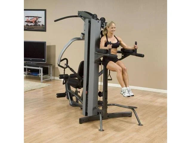 Vertical Knee-Raise/Dip Station H4316