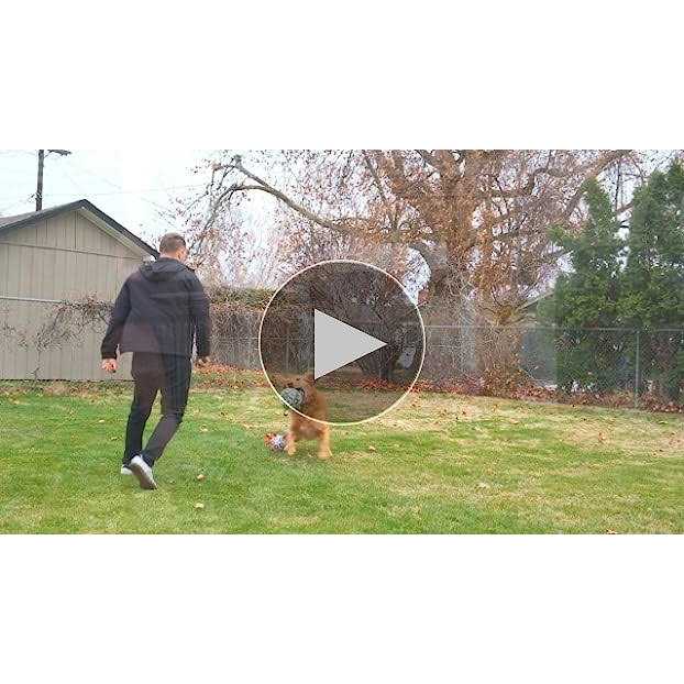 Dog Toys Soccer Ball with Straps Q20869