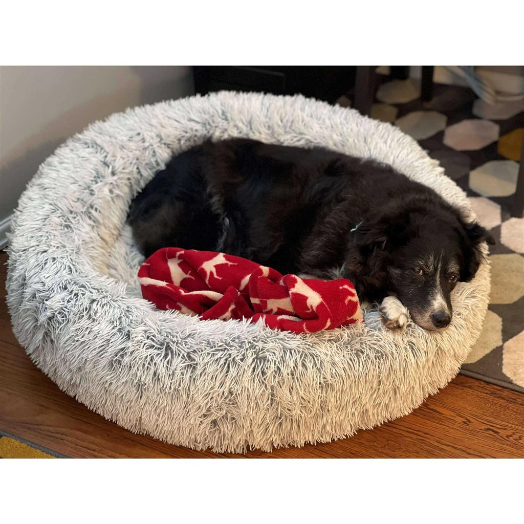 Pet Bed Q93829
