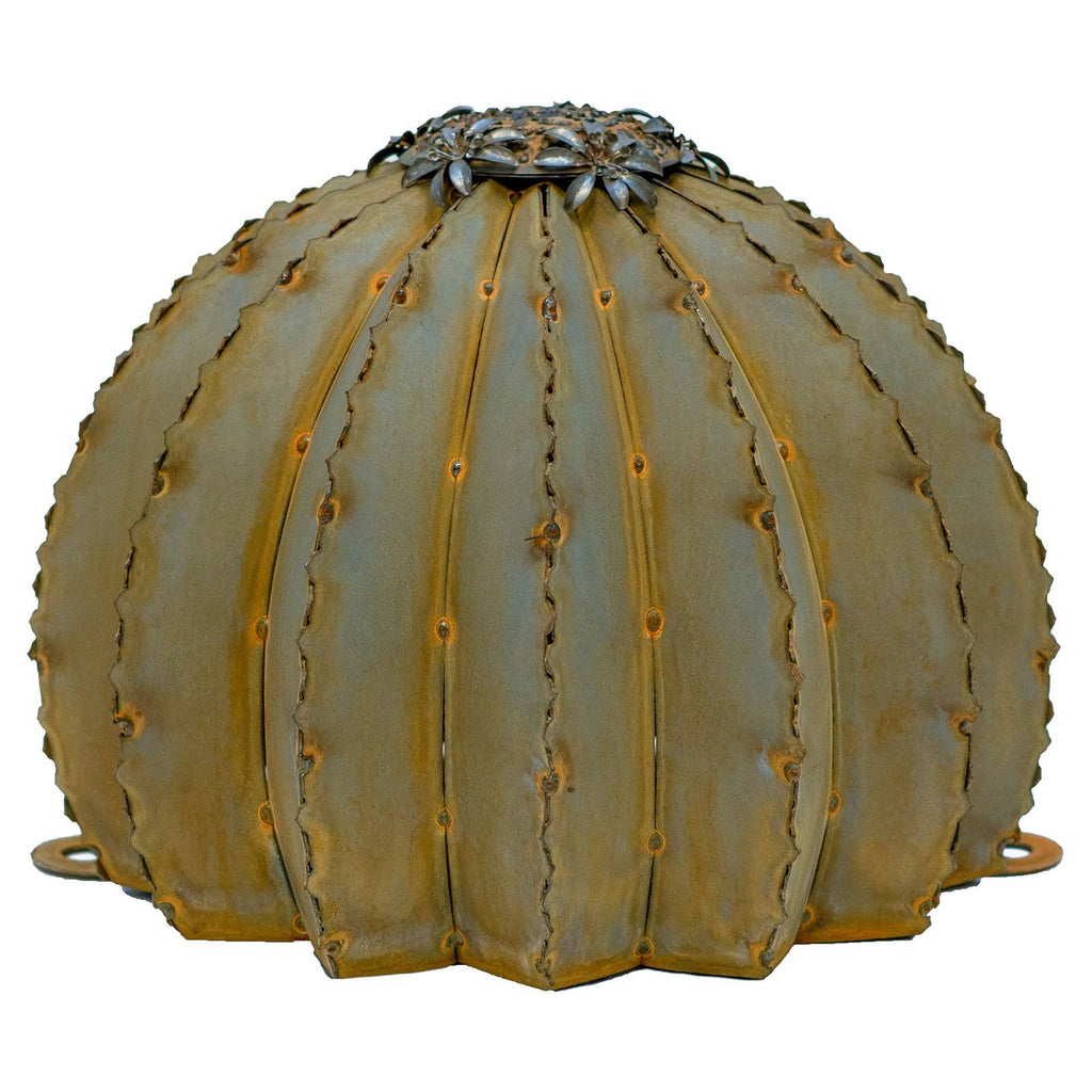 Golden Barrel Cactus Torch A389096